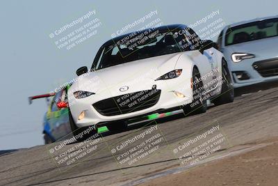 media/Nov-24-2023-Speed SF (Fri) [[8629a6e656]]/Gold/Session 2 (Grapevine)/